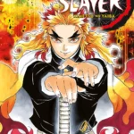 Demon Slayer Volume 8 – ITA