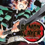 Demon Slayer Volume 10 – ITA