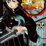 Demon Slayer Volume 12 – ITA