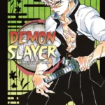 Demon Slayer Volume 17 – ITA