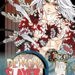Demon Slayer Volume 22 Limited Edition – ITA