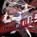Akame Ga Kill Volume 14 – ITA