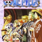 One Piece New Edition Volume 11 – Greatest 107 – ITA