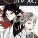 Bungo Stray Dogs Volume 9 – ITA