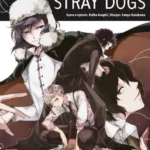 Bungo Stray Dogs Volume 13 – ITA