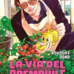 La Via Del Grembiule Lo Yakuza Casalingo Volume 11 – ITA