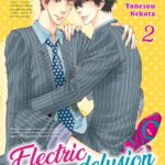 Electric delusion volume 2