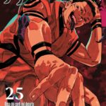 Jujutsu Kaisen Volume 25 – ITA