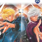 Skip Beat! Volume 21 – ITA