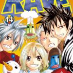 Rave – The Groove Adventure New Edition Volume 14 – ITA