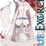 Blue Exorcist Volume 17 – ITA