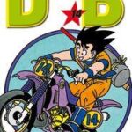 Dragon Ball Evergreen Edition Volume 14 – ITA