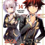 Ayakashi triangle volume 14