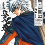 Rurouni kenshin perfect edition volume 21