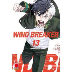 Wind Breaker Volume 13