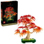 10348 – Botanicals Bonsai di Acero rosso giapponese