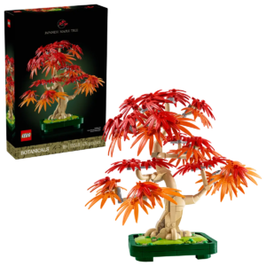 10348 – Botanicals Bonsai di Acero rosso giapponese