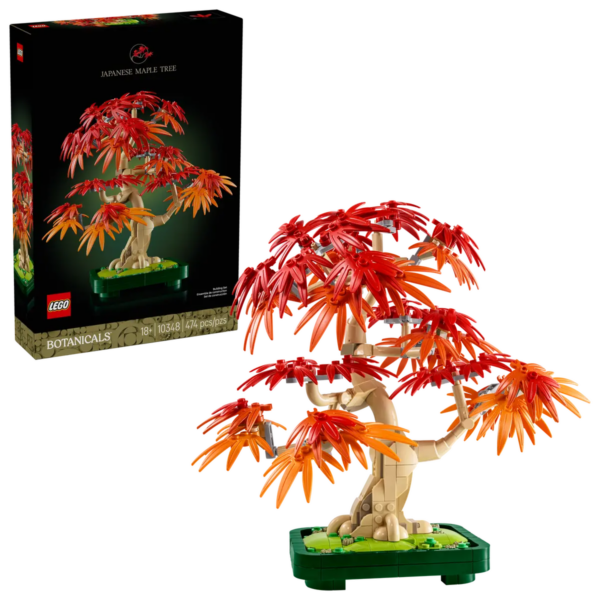 10348_boxprod_v39_en-gb 10348 – Botanicals Bonsai di Acero rosso giapponese