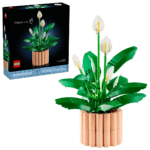 11504 – Botanicals Spatafillo