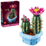 11509 – Botanicals Cactus in fiore