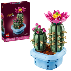 11509 – Botanicals Cactus in fiore