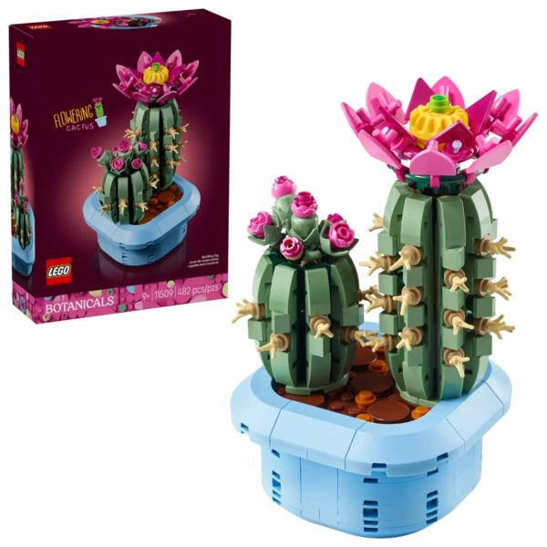 11509 – Botanicals Cactus in fiore
