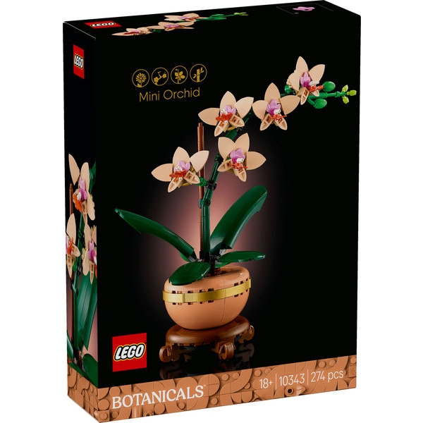 10343 – Botanicals mini Orchidea