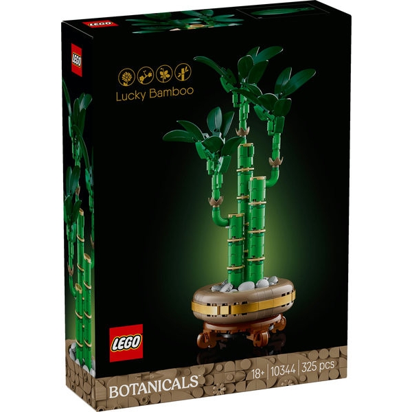 5702017814650 10344 – Botanicals Bambù del buon auspicio