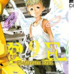 Platinum End 09 – Manga auf Deutsch (TOKYOPOP)