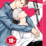Simplified Pervert Romance 06 – Manga auf Deutsch (TOKYOPOP)