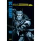 Copertina del fumetto Freccia Verde Ricerca Dell'arciere, edizione italiana Panini Comics / DC / Marvel / Disney di Phil Hester & Brad Meltzer