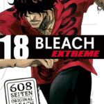 Bleach EXTREME 18 – Manga auf Deutsch (TOKYOPOP)