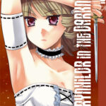 Brynhildr in the Darkness 11 – Manga auf Deutsch (TOKYOPOP)