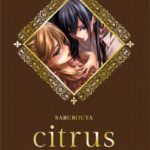 Citrus Artbook – Manga auf Deutsch (TOKYOPOP)
