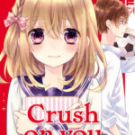 Crush on you 01 – Manga auf Deutsch (TOKYOPOP)