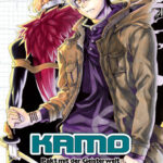 Kamo - Pakt mit der Geisterwelt 03 – Manga auf Deutsch (TOKYOPOP)