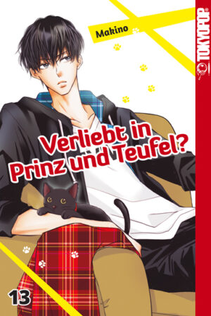 Verliebt in Prinz und Teufel? 13 – Manga auf Deutsch (TOKYOPOP)