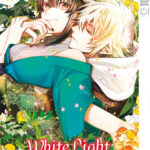 White Light Ceremony 03 – Manga auf Deutsch (TOKYOPOP)