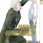 Wind Breaker 12 – Manga auf Deutsch (TOKYOPOP)