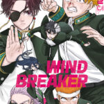 Wind Breaker 14 – Manga auf Deutsch (TOKYOPOP)