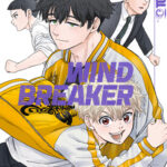 Wind Breaker 15 – Manga auf Deutsch (TOKYOPOP)