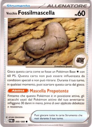 Vecchio Fossilmascella 068 · Perfect Order · IT - immagine 1