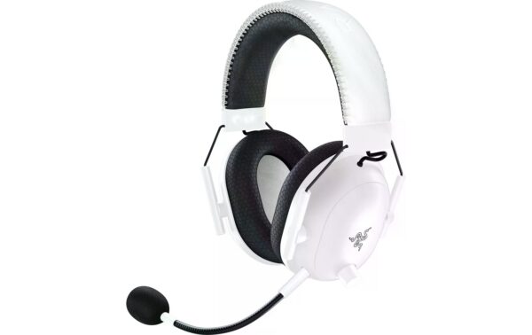 359974480_xxl3.jpg